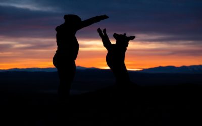 Pets: A Lived Relationship with Soul