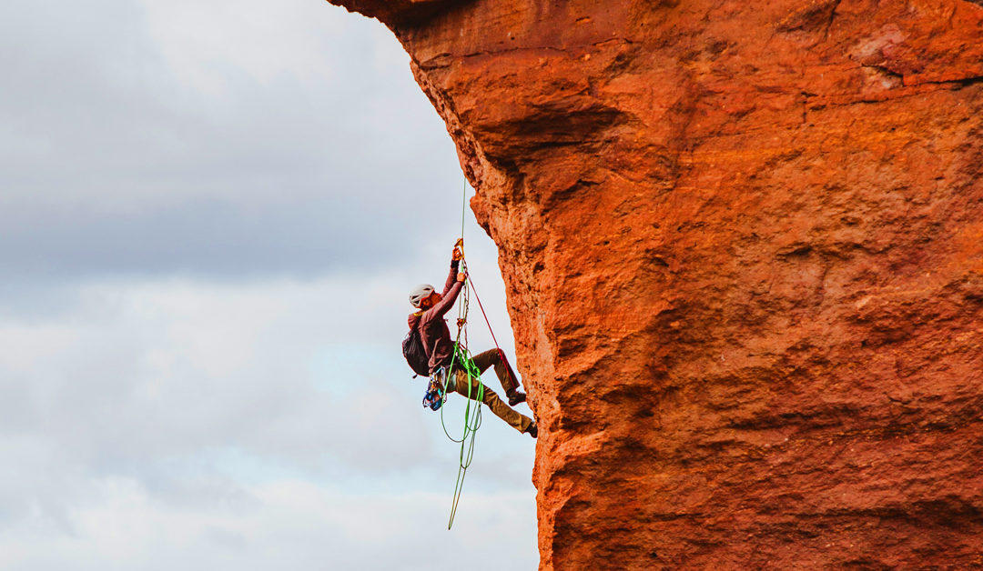 WILLPOWER: choice, energy & the power to achieve