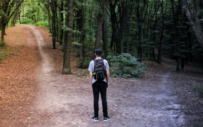 NAVIGATING YOUNG ADULTHOOD: risks & rewards